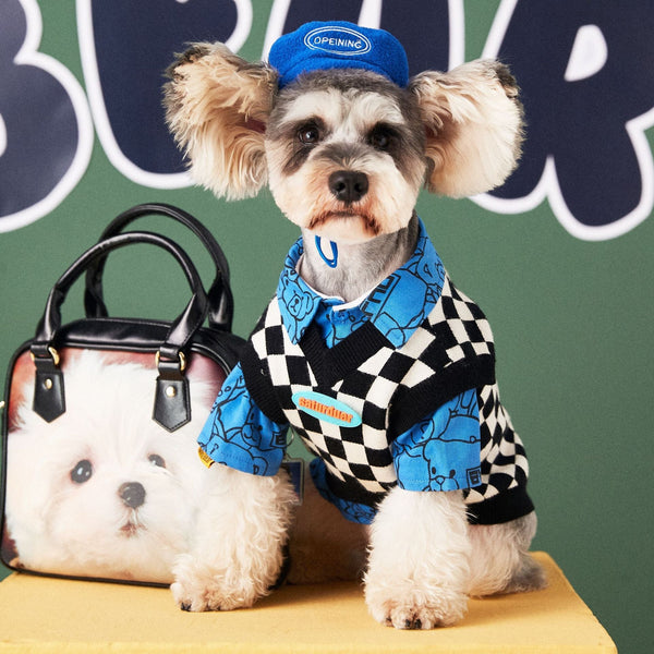 HKM-1141181 Chic Velvet Pet Dog Hat with Beret Style in Various Colors