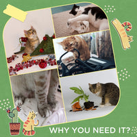 HKM-1145405 Indoor Cat Tree with Hammock, Multi-Level Climbing Tower & Scratching Posts, Green