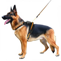 HKM-1145917 Automatic Retractable Lanyard Chest Harness Set for Pets - Multiple Color Options Available
