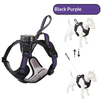 HKM-1145917 Automatic Retractable Lanyard Chest Harness Set for Pets - Multiple Color Options Available