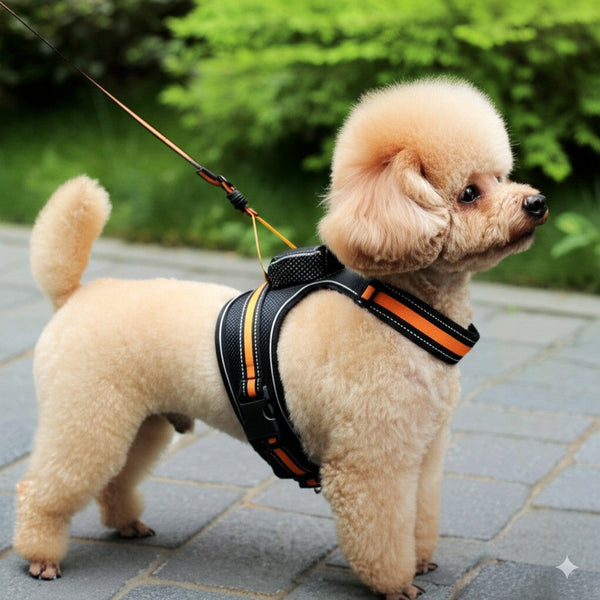 HKM-1145917 Automatic Retractable Lanyard Chest Harness Set for Pets - Multiple Color Options Available