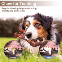HKM-1156285 Nylon Dog Chew Toy in Beef Flavor - Durable Molar Nibbler for Active Dogs