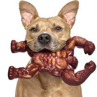 HKM-1156285 Nylon Dog Chew Toy in Beef Flavor - Durable Molar Nibbler for Active Dogs
