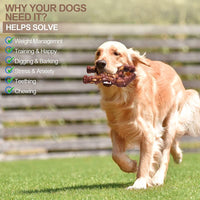 HKM-1156285 Nylon Dog Chew Toy in Beef Flavor - Durable Molar Nibbler for Active Dogs