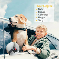 HKM-1166013 Adjustable Pet Dog Seat Belt Leash Safety Harness - 2 Pack for Cars, Fits Small to Large Dogs and Cats
