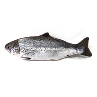 HKM-1169981 Electric Bionic Fish Plush Cat Toy - Interactive Catnip Fish for Playtime