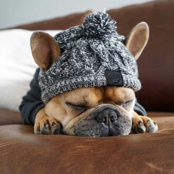 HKM-1173949 Two-Tone Windproof Fluffy Knitted Dog Hat with Pom Poms and Ear Slits