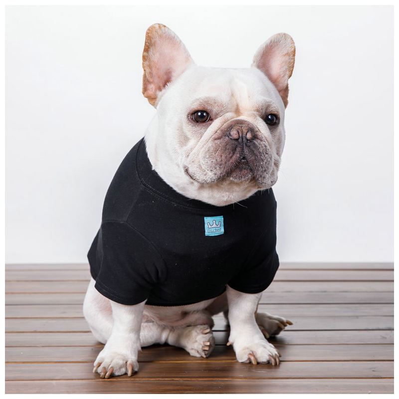 HKM-1177277 Cozy Cotton Dog Sweater with Velvet Print in Coffee for Small Breeds