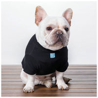 HKM-1177277 Cozy Cotton Dog Sweater with Velvet Print in Coffee for Small Breeds