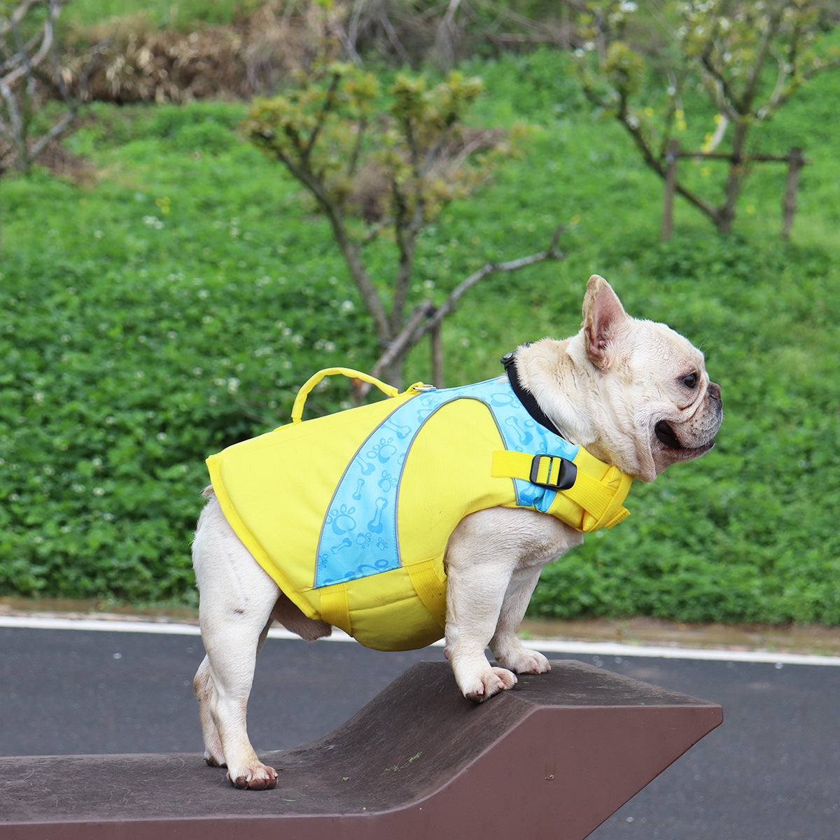 HKM-1182269 Bright Color Contrast Dog Life Jacket Vest for Safety in Water Activities