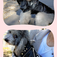 HKM-1183037 Stylish Rivet Black Leather Coat for Dogs and Cats - Ideal for Autumn and Winter, Sizes S to XL