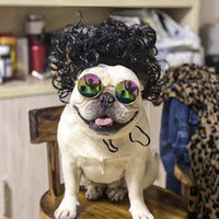 HKM-1186493 Pet Wig Sheath for Parties - Various Colors and Styles, Fits Head Circumference 30-60cm