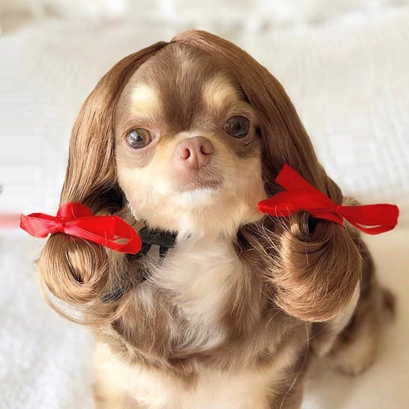 HKM-1186493 Pet Wig Sheath for Parties - Various Colors and Styles, Fits Head Circumference 30-60cm