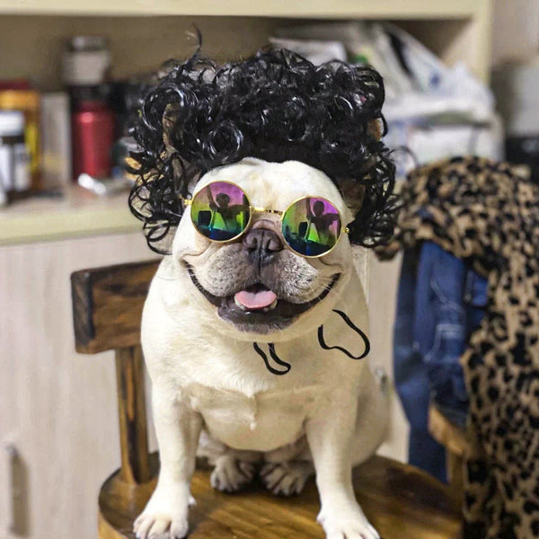 HKM-1186493 Pet Wig Sheath for Parties - Various Colors and Styles, Fits Head Circumference 30-60cm