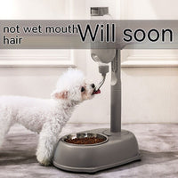 HKM-1186621 Non-Wet Vertical Drinking Water Dispenser for Cats and Small Dogs - 500ml Capacity with Adjustable Height