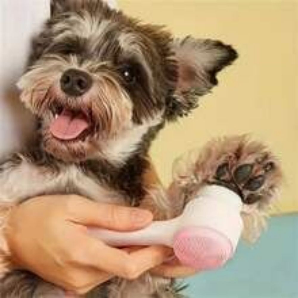 HKM-1187901 Gentle Nylon Pet Grooming Paw Brush for Cats and Dogs - Easy Clean Massage Tool