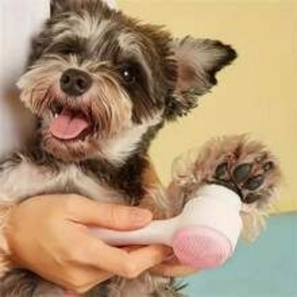 HKM-1187901 Gentle Nylon Pet Grooming Paw Brush for Cats and Dogs - Easy Clean Massage Tool