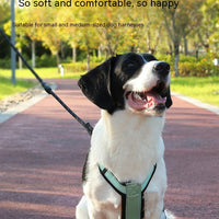HKM-1189693 Reflective Rope Chest Strap Vest for Medium to Large Dogs with Hand Holding Leash