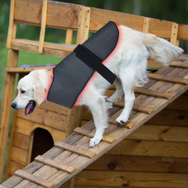 HKM-1195837 Portable Wireless Red Light Infrared Physiotherapy Device for Dogs and Cats - Aids Back and Abdomen Injury Recovery