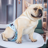 HKM-1200573 Washable Female Dog Menstrual Safety Pants - Anti-Harassment Design in Blue and Yellow, Sizes S, M, L, XL