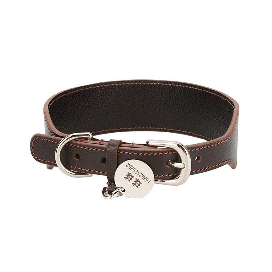 HKM-120531 Puppy Collar Necklace and Portable Towing Rope Set in Various Colors