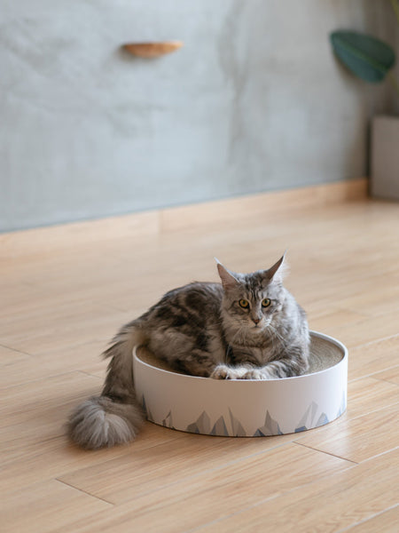 HKM-1207869 Corrugated Paper Cat Scratch Board for Claw Maintenance, 410x410x100mm