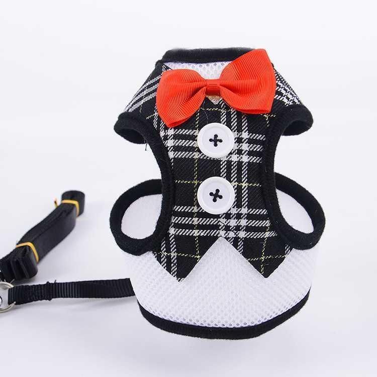 HKM-1208253 Rope Vest Harness with Leash for Small and Medium Dogs ¨C Nylon Chest Strap in Various Colors