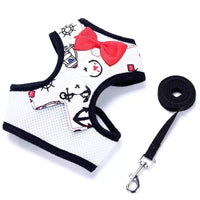 HKM-1208253 Rope Vest Harness with Leash for Small and Medium Dogs ¨C Nylon Chest Strap in Various Colors