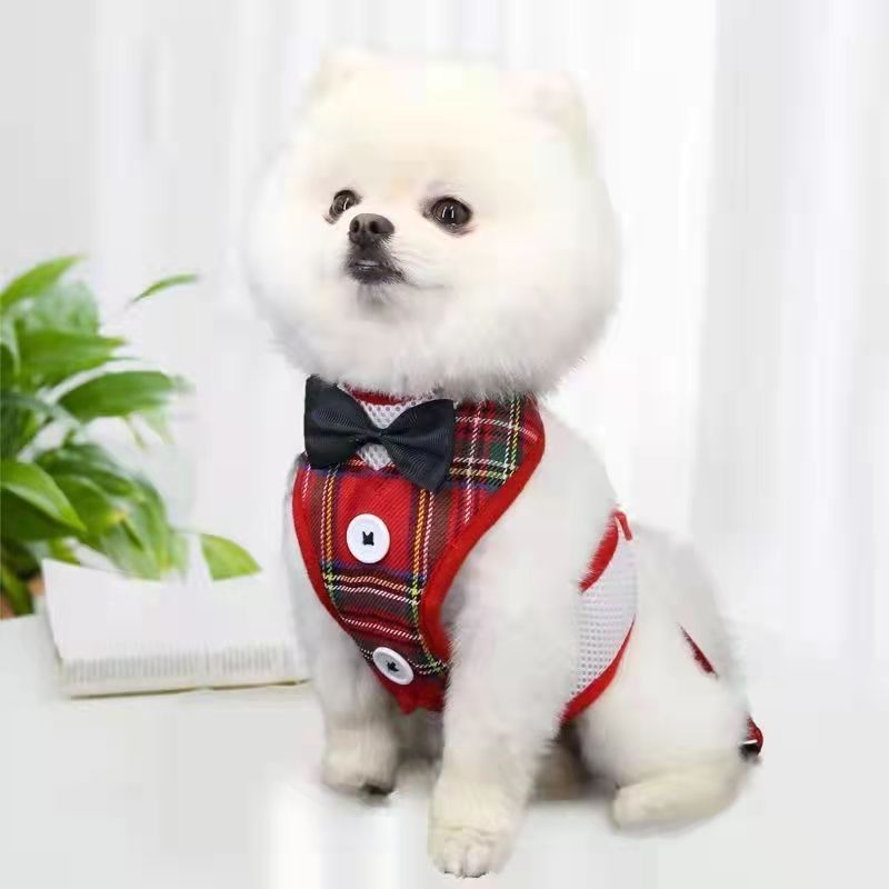HKM-1208253 Rope Vest Harness with Leash for Small and Medium Dogs ¨C Nylon Chest Strap in Various Colors