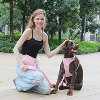 HKM-1209661 Cherry Blossom Pink Corduroy Pet Walking Set with Collar, Leash, Chest Harness & Mini Backpack