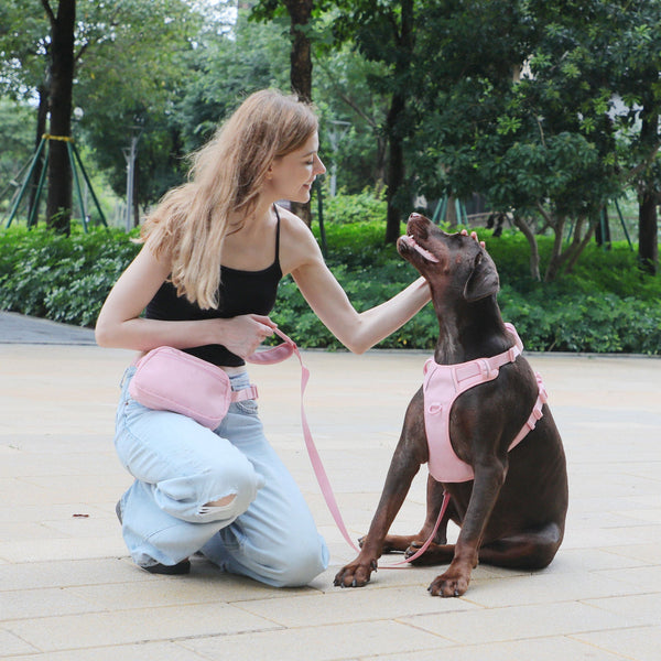 HKM-1209661 Cherry Blossom Pink Corduroy Pet Walking Set with Collar, Leash, Chest Harness & Mini Backpack