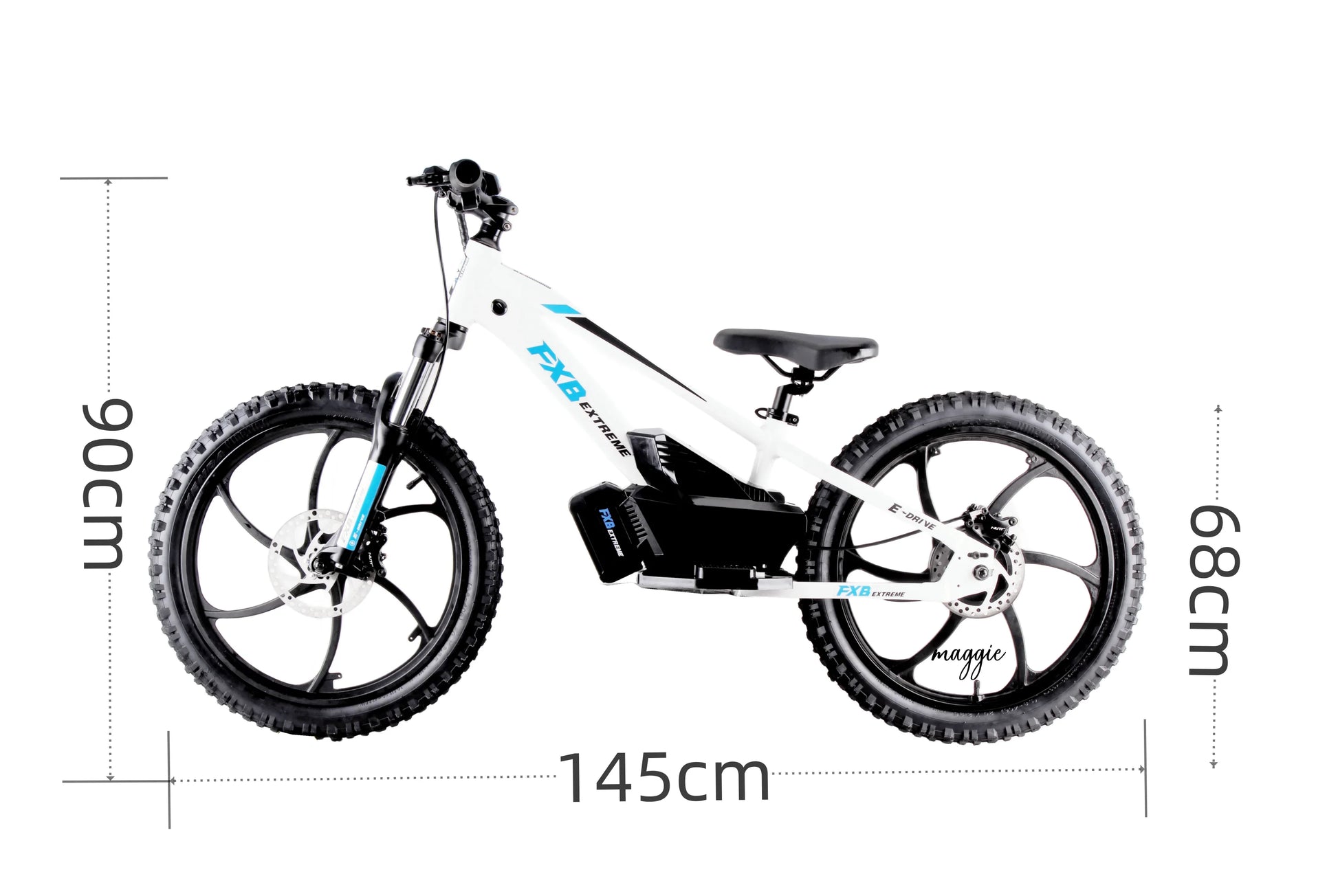HKM-121235 20-Inch Electric Balance Bike with Lithium Battery and Dual Speed Options