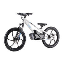 HKM-121235 20-Inch Electric Balance Bike with Lithium Battery and Dual Speed Options