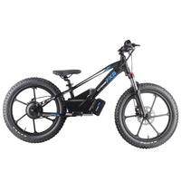 HKM-121235 20-Inch Electric Balance Bike with Lithium Battery and Dual Speed Options