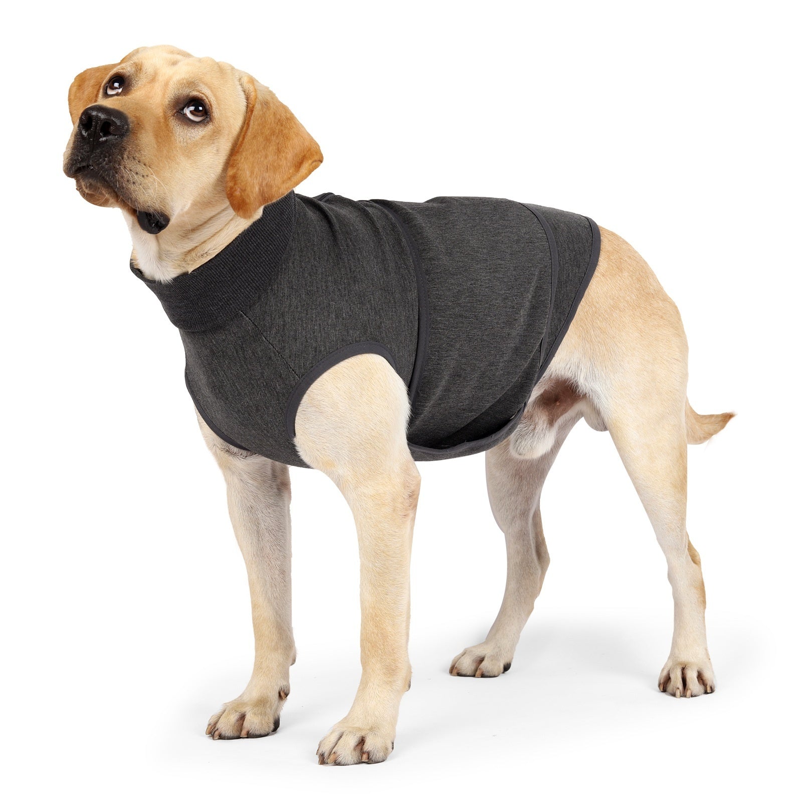 HKM-1212733 Pet Mood Soothing Clothes - Gray Comfort Apparel for Dogs and Cats in Various Sizes