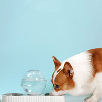 HKM-1213501 Automatic Pet Water Feeder 2.8L Dual Dish System for Cats and Dogs - Safe and Easy to Clean