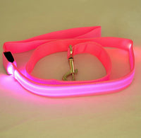 HKM-1217213 LED Adjustable Nylon Traction Belt Dog Leash with Multicolor Light - 120CM Length, 2.5CM Width