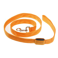 HKM-1217213 LED Adjustable Nylon Traction Belt Dog Leash with Multicolor Light - 120CM Length, 2.5CM Width