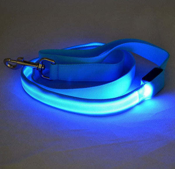 HKM-1217213 LED Adjustable Nylon Traction Belt Dog Leash with Multicolor Light - 120CM Length, 2.5CM Width