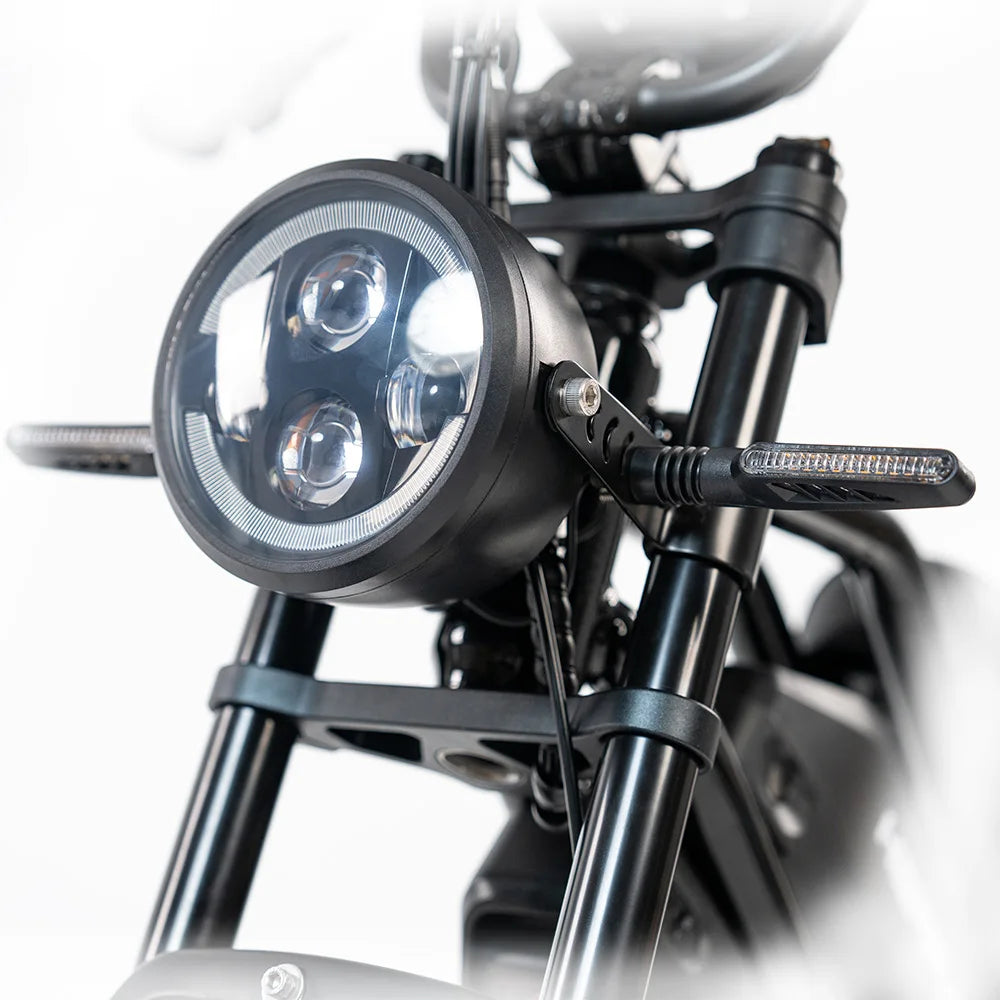 HKM-121747 Electric Cargo Bike with Dual Battery, 2000W Motor, Max Speed 60 km/h, 48V Power