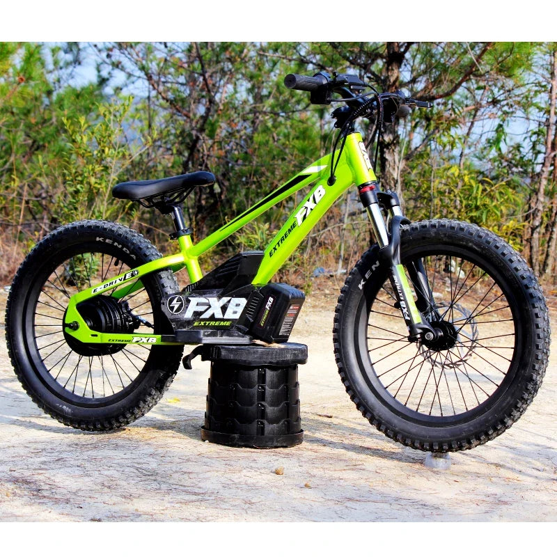 HKM-122387 20-Inch Kids' Electric Balance Bike with Aluminium Frame, 3-Speed, Disc Brake, Suitable for Ages 3-15
