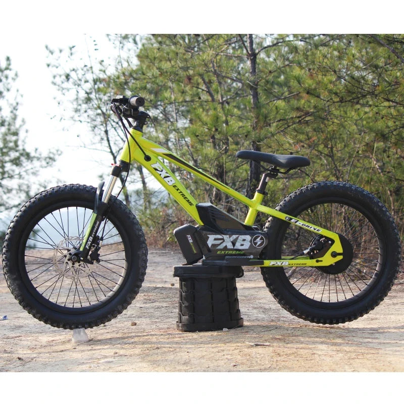 HKM-122387 20-Inch Kids' Electric Balance Bike with Aluminium Frame, 3-Speed, Disc Brake, Suitable for Ages 3-15