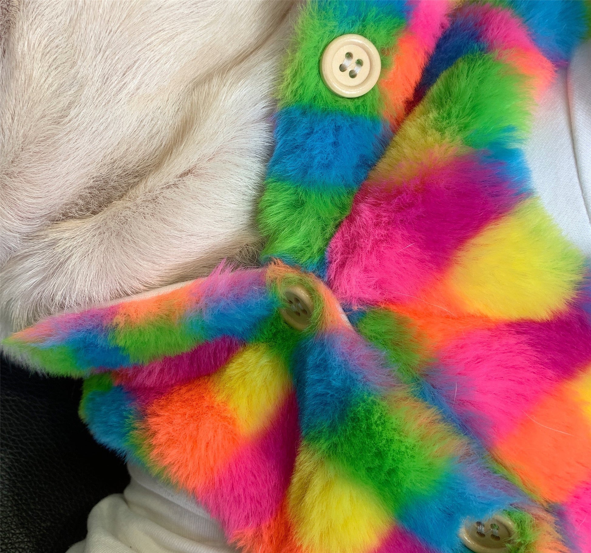 HKM-1227325 Cozy Rainbow Plaid Plush Vest for Dogs - Ideal for Autumn and Winter, Available in Multiple Sizes