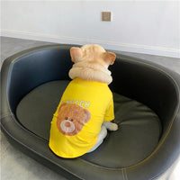HKM-1227325 Cozy Rainbow Plaid Plush Vest for Dogs - Ideal for Autumn and Winter, Available in Multiple Sizes