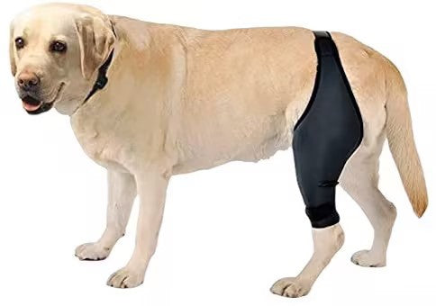 HKM-1231549 Rehabilitation Training Belt for Tear Protection in Sports Activities