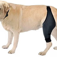 HKM-1231549 Rehabilitation Training Belt for Tear Protection in Sports Activities