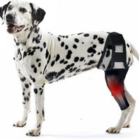 HKM-1231549 Rehabilitation Training Belt for Tear Protection in Sports Activities