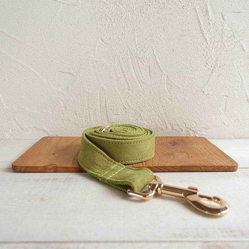 HKM-1236669 Comfortable Green Polyester Fiber Dog Collar & Leash Set - All Season Sizes XS to XL
