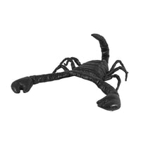 HKM-1237053 Scorpion Halloween Costume for Cats, Black Pet Apparel, Fun Party Outfit