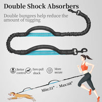 HKM-1244221 Multi-functional Reflective Dog Leash with Waist Pack and Stretch Rope in Multiple Colors